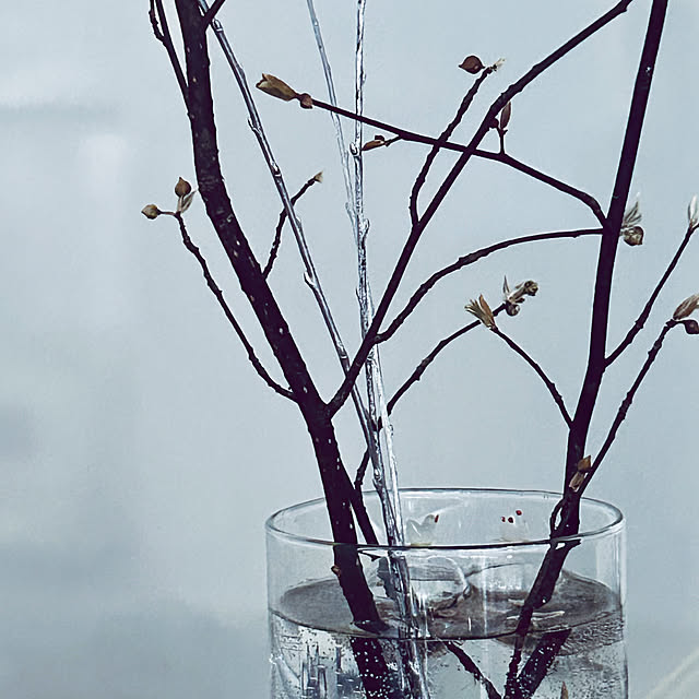 DAYONEさんの実例写真