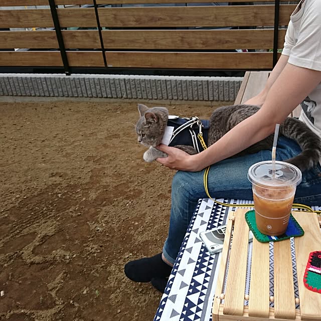tamaさんの実例写真