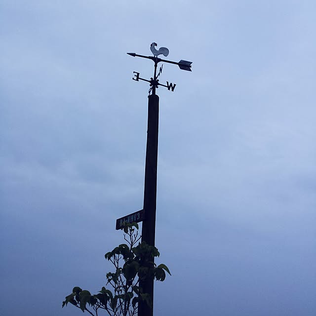 hanaさんの実例写真