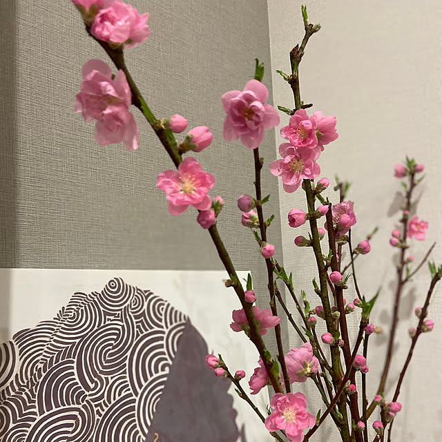 SATOEさんの部屋