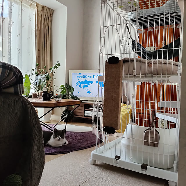 KEIKOさんの実例写真