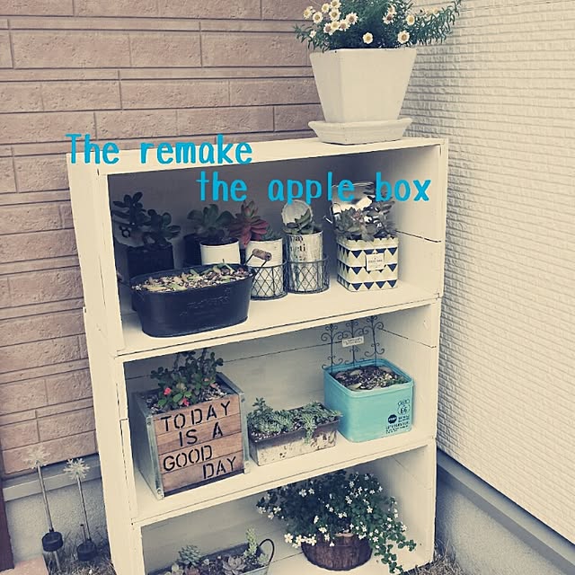masarinn.さんの実例写真