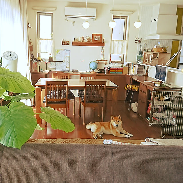 実例写真
