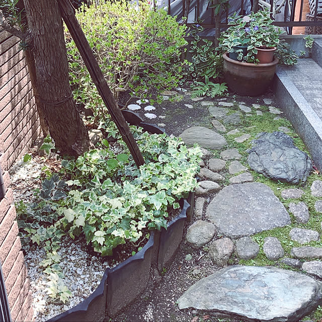 piさんの実例写真