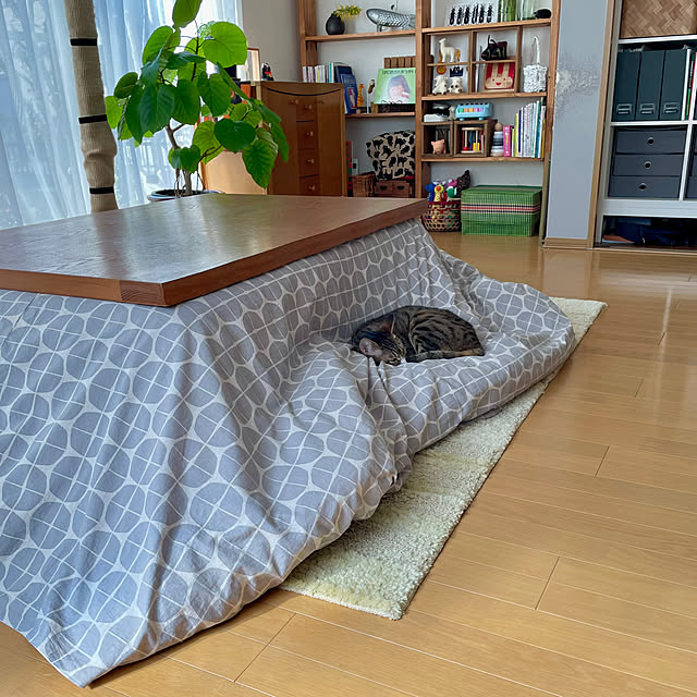 nobikoさんの部屋