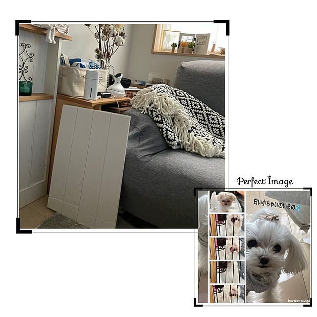loliontoaliceveさんの実例写真