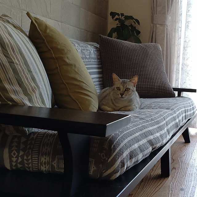 38catさんの実例写真