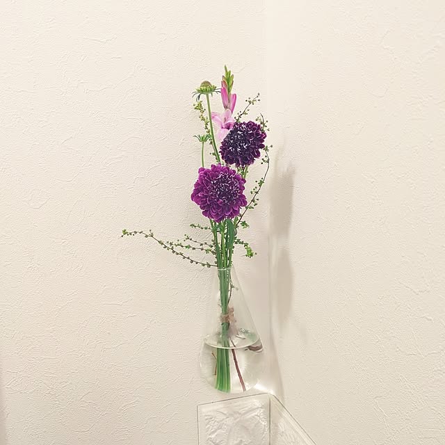 Shion+さんの実例写真