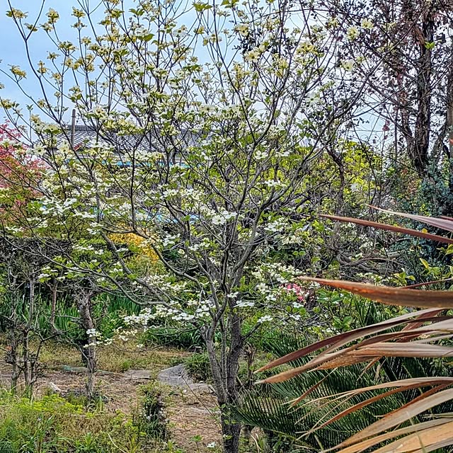 ot-gardenさんの部屋