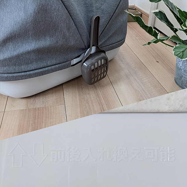 wisteriaさんの実例写真