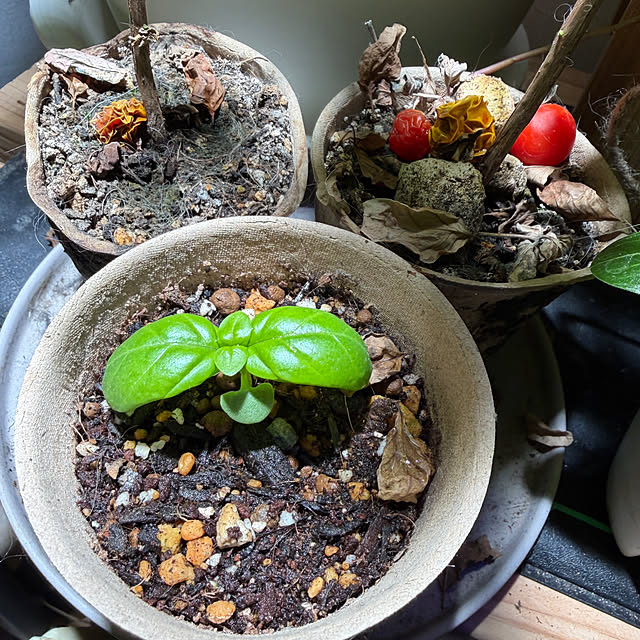 yutaさんの実例写真