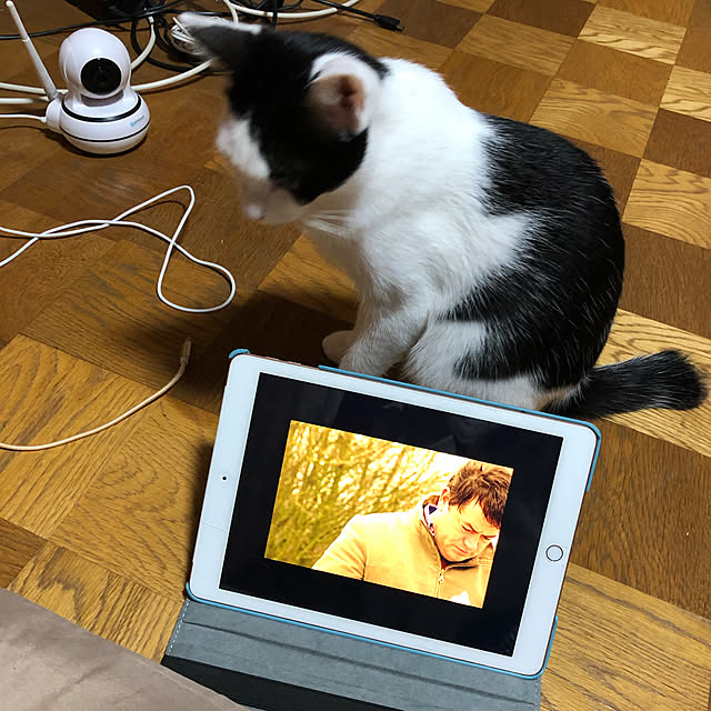 milkさんの実例写真