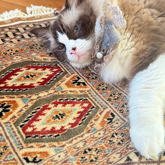 momoさんの実例写真