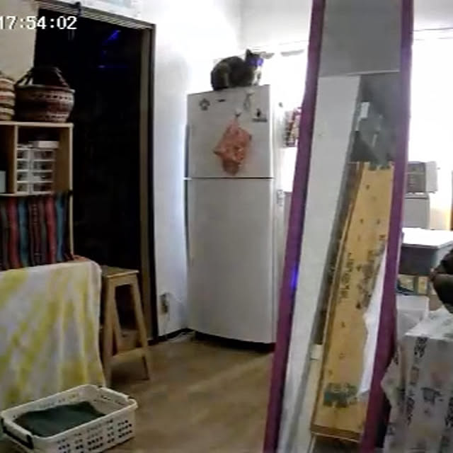 marimariさんの部屋