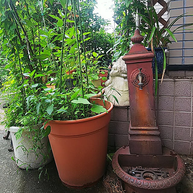 mitsuyama3136さんの実例写真