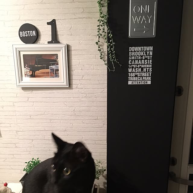 mahi1101さんの実例写真