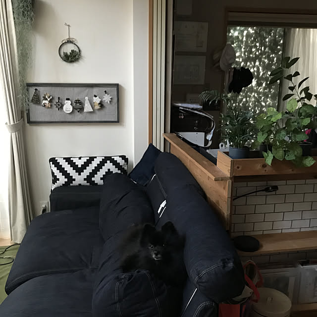 BbBbさんの実例写真