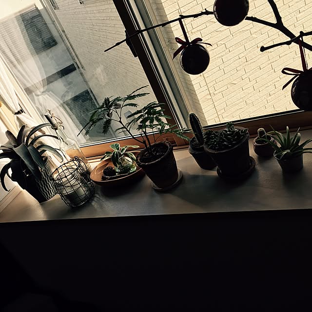 flowerhouseさんの実例写真