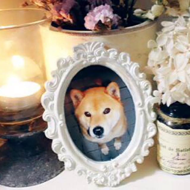 yukiさんの実例写真
