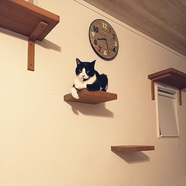 shiiiさんの実例写真
