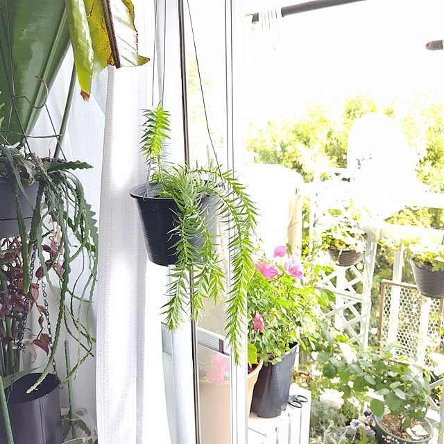 yuuu7712さんの部屋