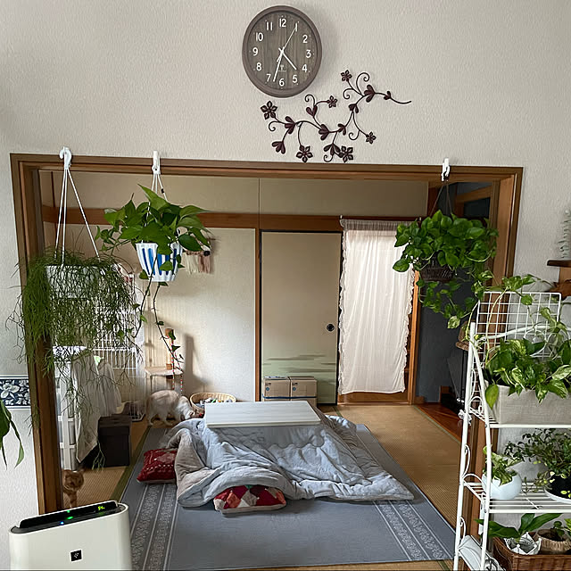 himetanさんの実例写真