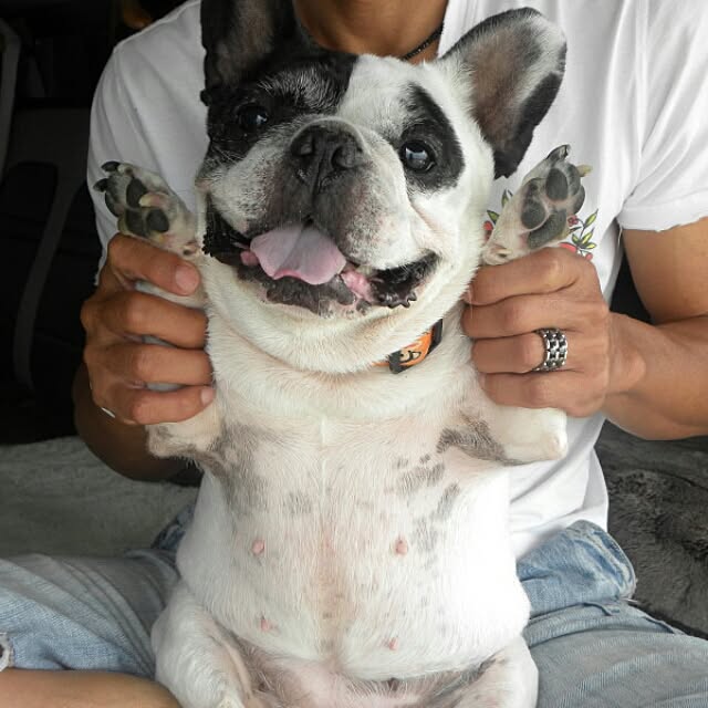 panchobiさんの実例写真