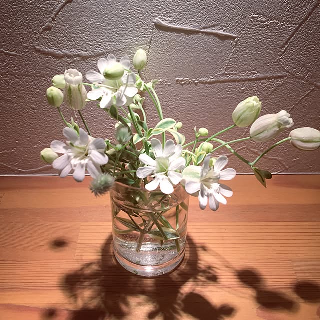 misacoさんの実例写真