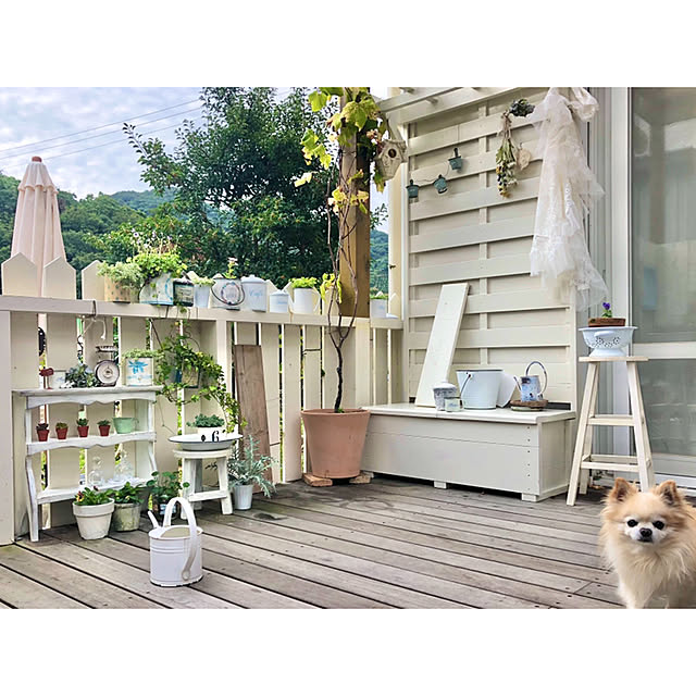 ponさんの実例写真