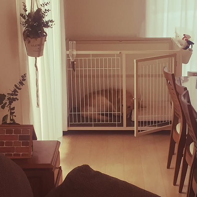 Kazueさんの実例写真