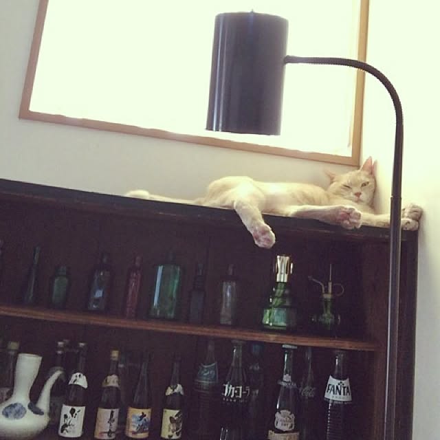 mikan161さんの実例写真