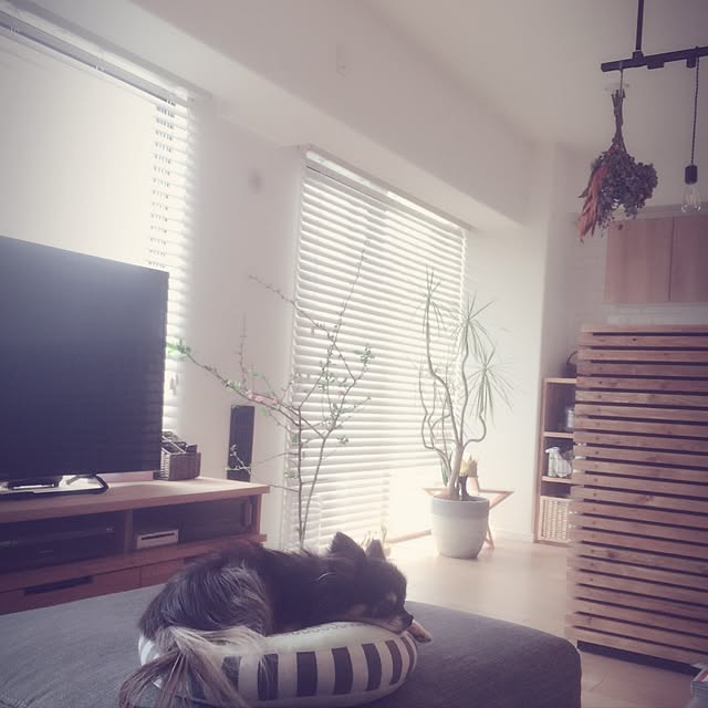 Naikiさんの実例写真