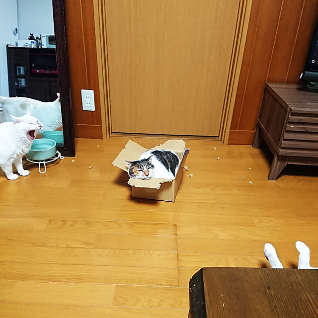 nachiさんの実例写真