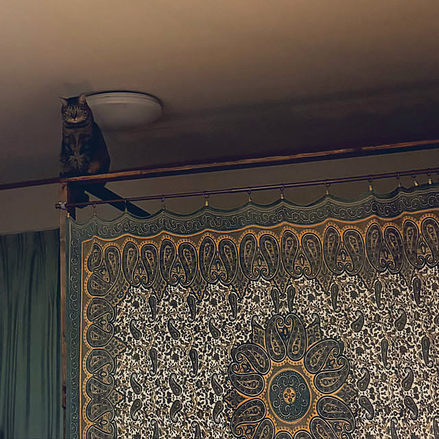 mikan161さんの部屋