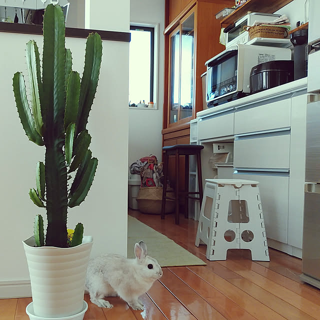 mutsuさんの実例写真