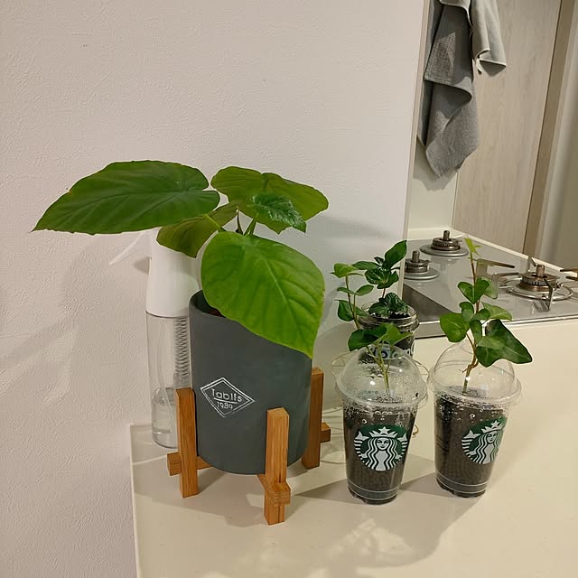 ya_maさんの実例写真