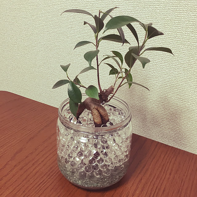 sakuraさんの実例写真
