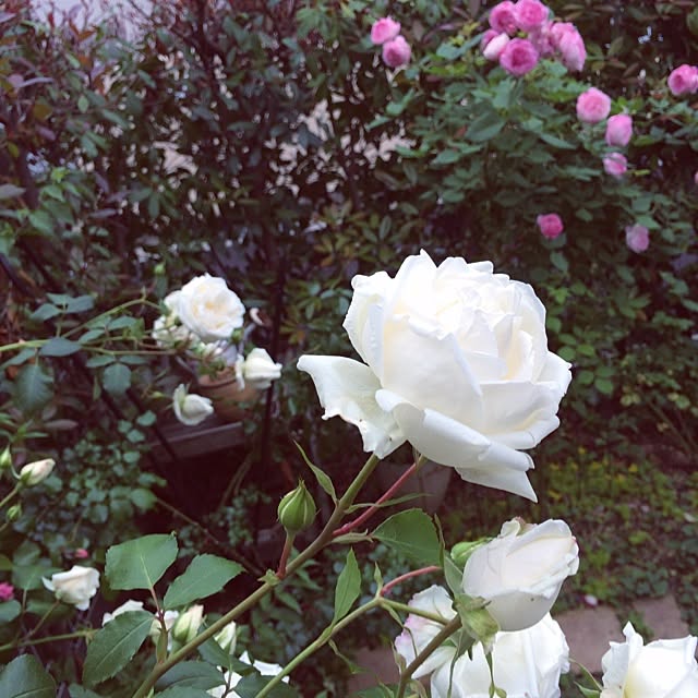 nina.さんの実例写真