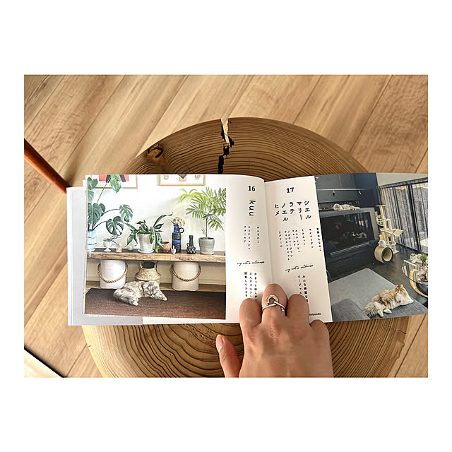 gfさんの実例写真