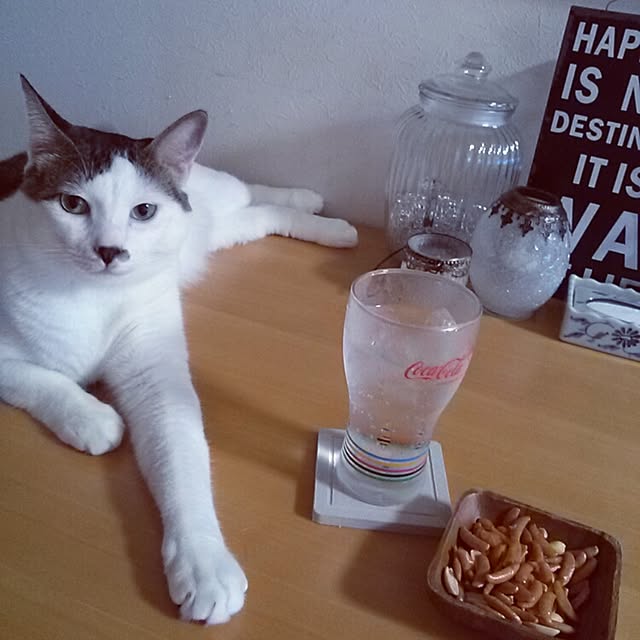 kamekoさんの実例写真