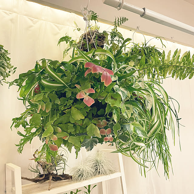 nanakoさんの部屋