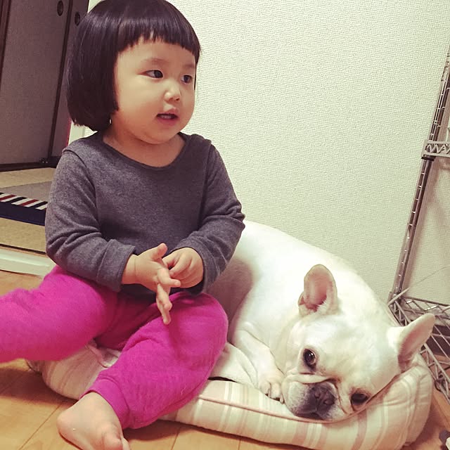 sakurabuhiさんの実例写真