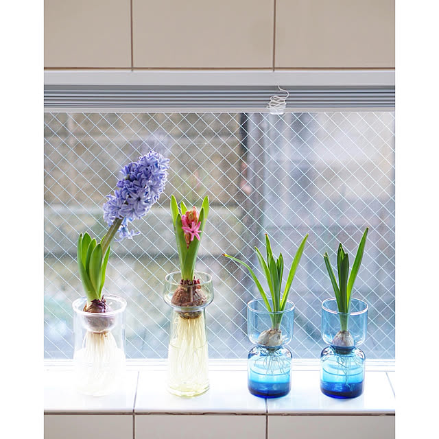 noriflowerさんの実例写真