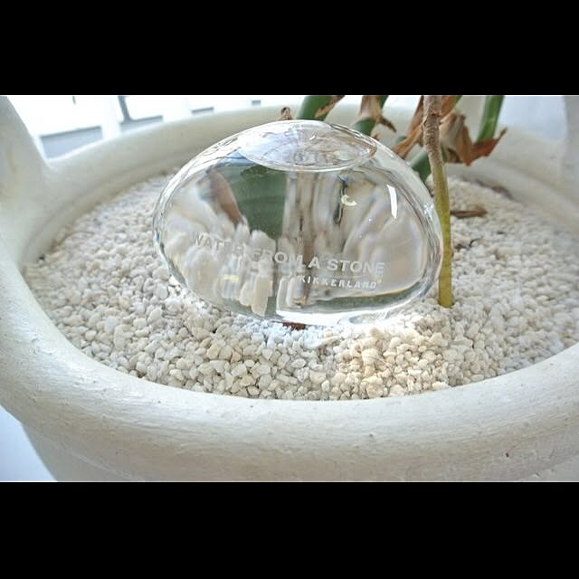 interior_amiさんの実例写真