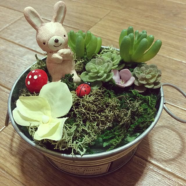 実例写真