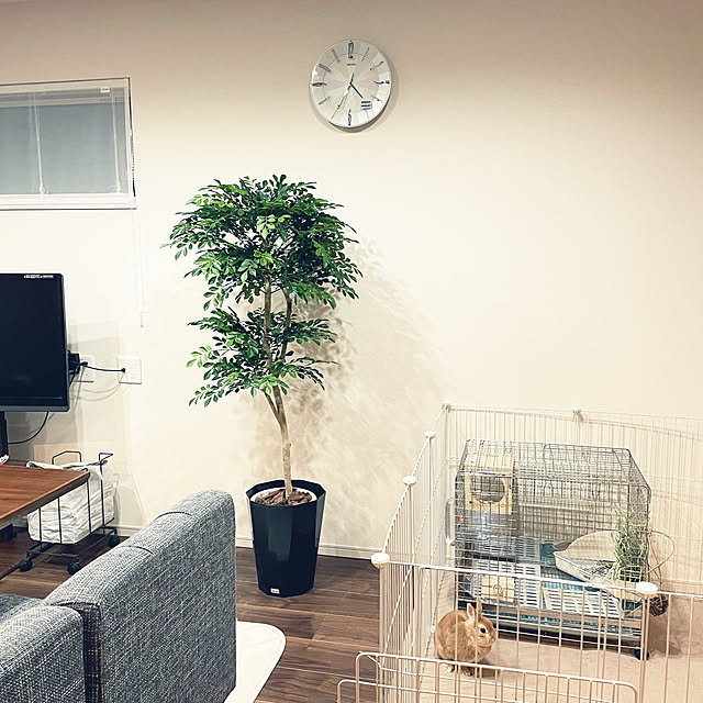 anaさんの実例写真