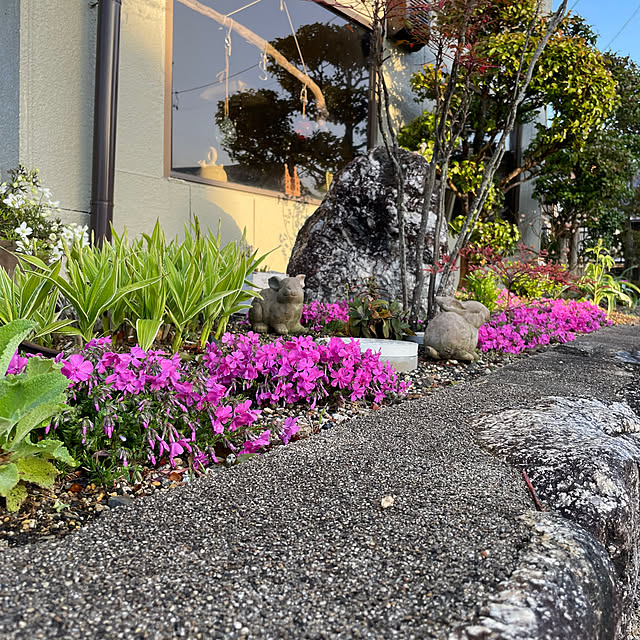 shin0719さんの部屋