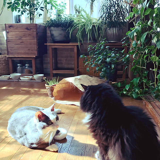 mucc08さんの実例写真