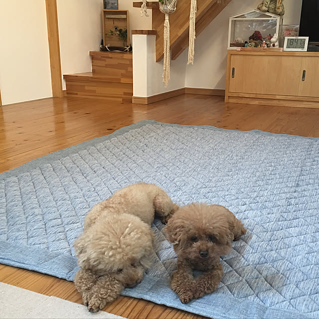 noririnさんの実例写真