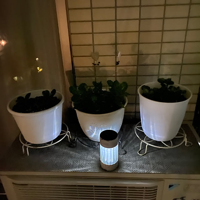 YuuKoさんの部屋
